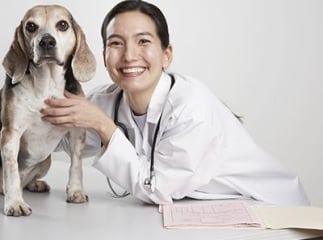 feuille de soins chien